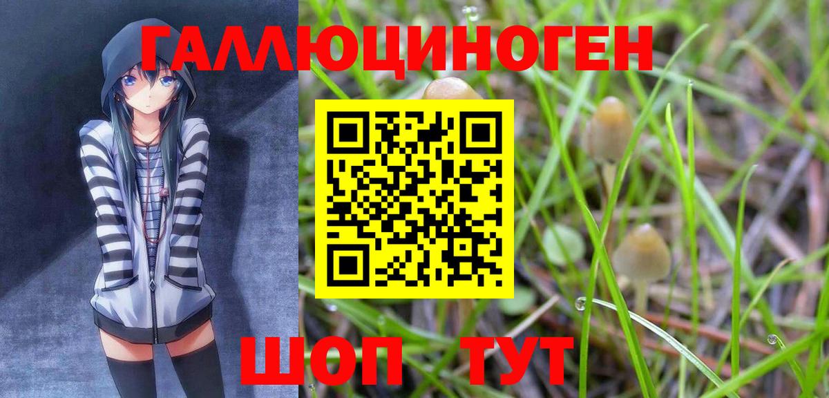 Псилоцибиновые грибы Psilocybine cubensis Каспийск