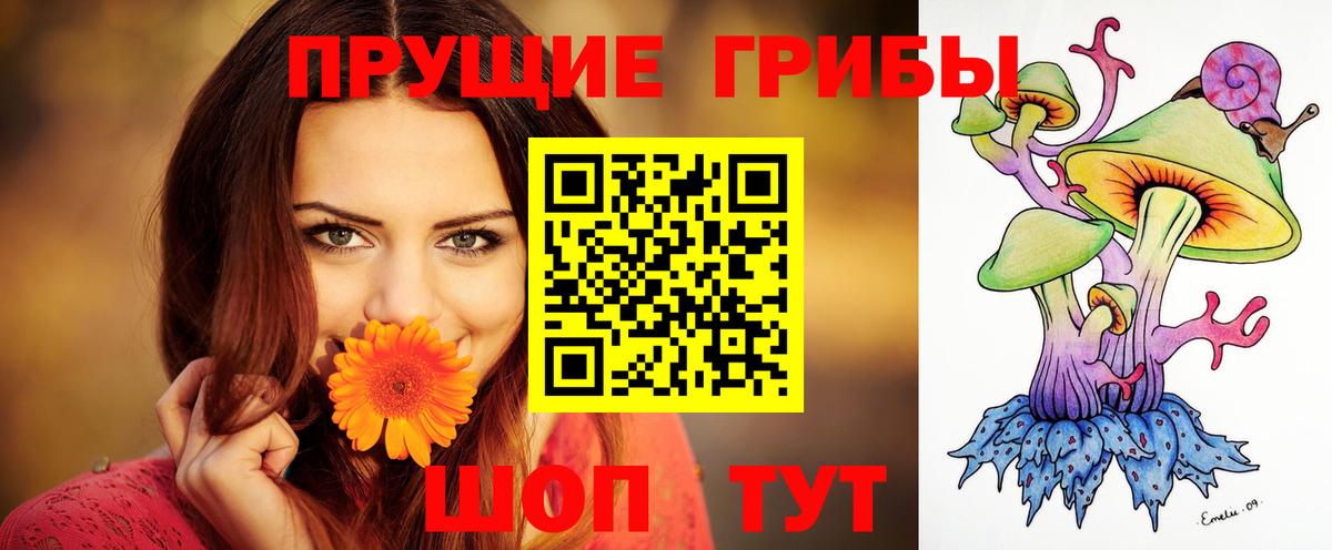 Каспийск  Галлюциногенные грибы Cubensis  Вход с VPN 